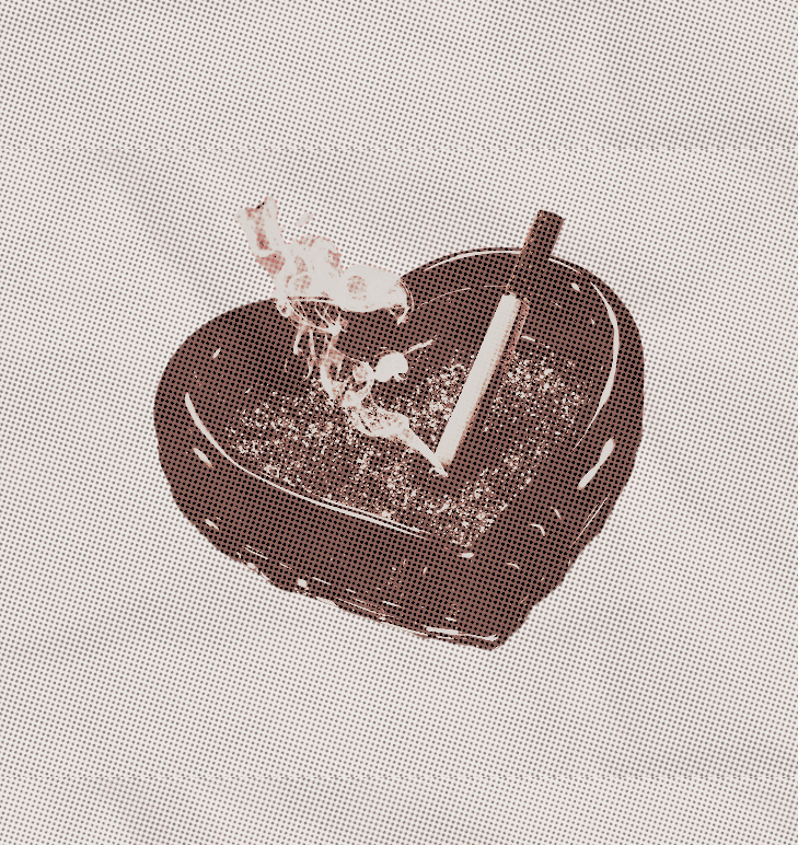 _juicymommy's tweet image. ㅤㅤㅤㅤ
ㅤㅤㅤㅤ𝒃𝚒𝚘𝚕𝚘𝚐𝚢 𝙩ᵉᵃᶜʰᵉʳ  🎲𝄒 German 𝒷ᵃᵈ 𝚖♡̸͓𝑚 
ㅤㅤㅤㅤㅤㅤㅤㅤ𝑙ibidinou𝓈 woman .
ㅤㅤㅤ