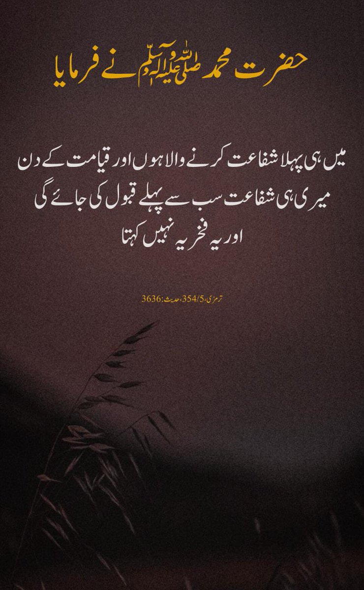 M@لK KAمRAN tweet media