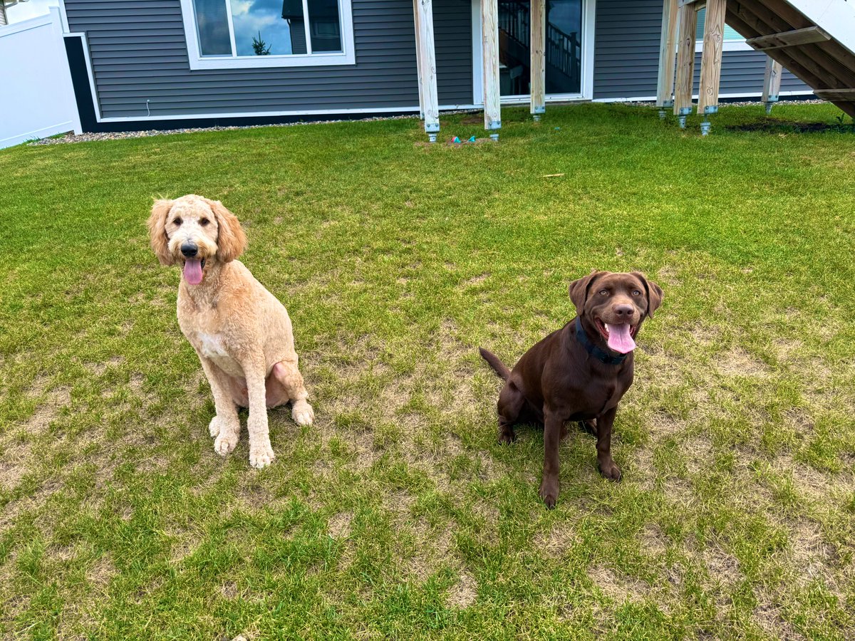 Isaiah Rodgers Sr. (@rodgers_isaiah) on Twitter photo 