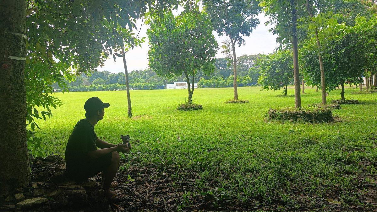 Either you run the day or the day runs you.

Gmonad 💜
<a href="/monad/">Monad</a> <a href="/Filipinads/">FilipiNADS (mainnet arc)</a>