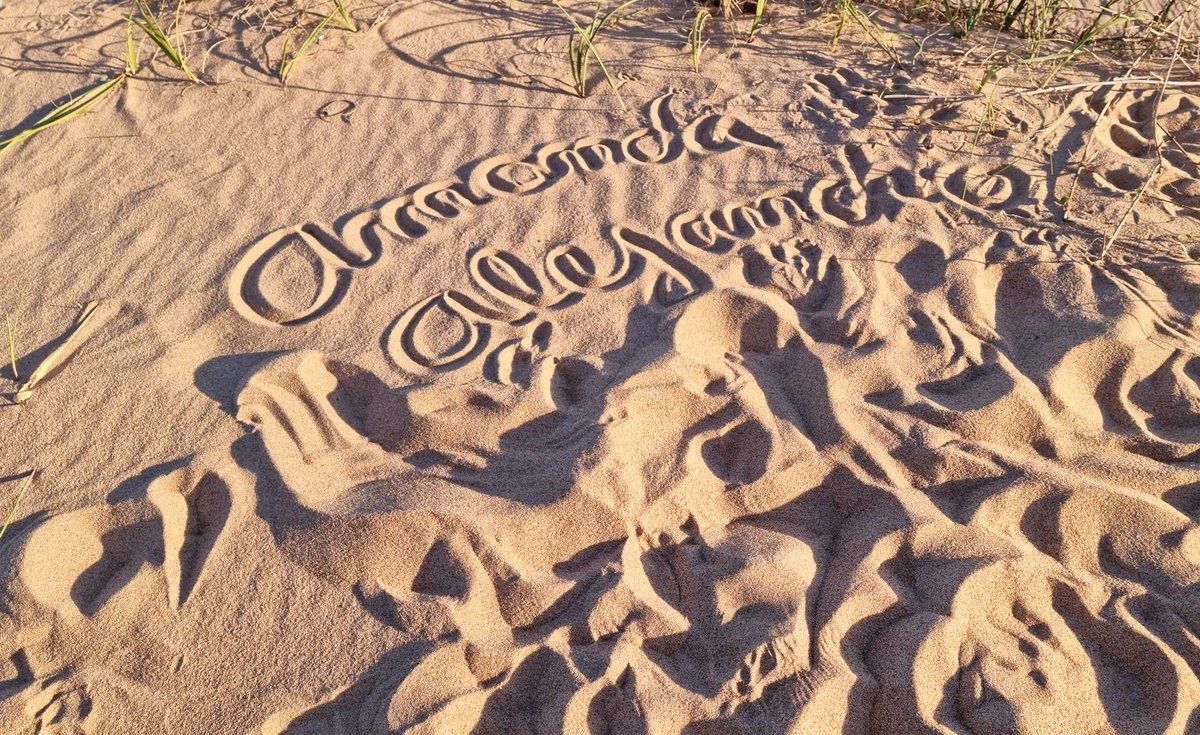 AmandaGolosaHW's tweet photo. Confirmadísimo!!
La arena te llega a todos lados... ¡¡literalmente a TODOS LADOS!! 🤭🌊 
Una aventura picante, divertida y muuuuy recomendable. https://t.co/Ni58CqG4Sk