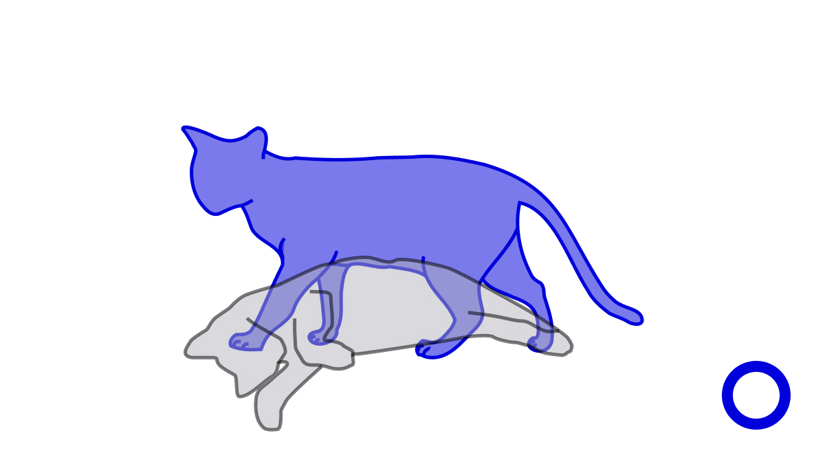 schrödinger's network: the cat may exist onchain or it may not, you have no way of finding out