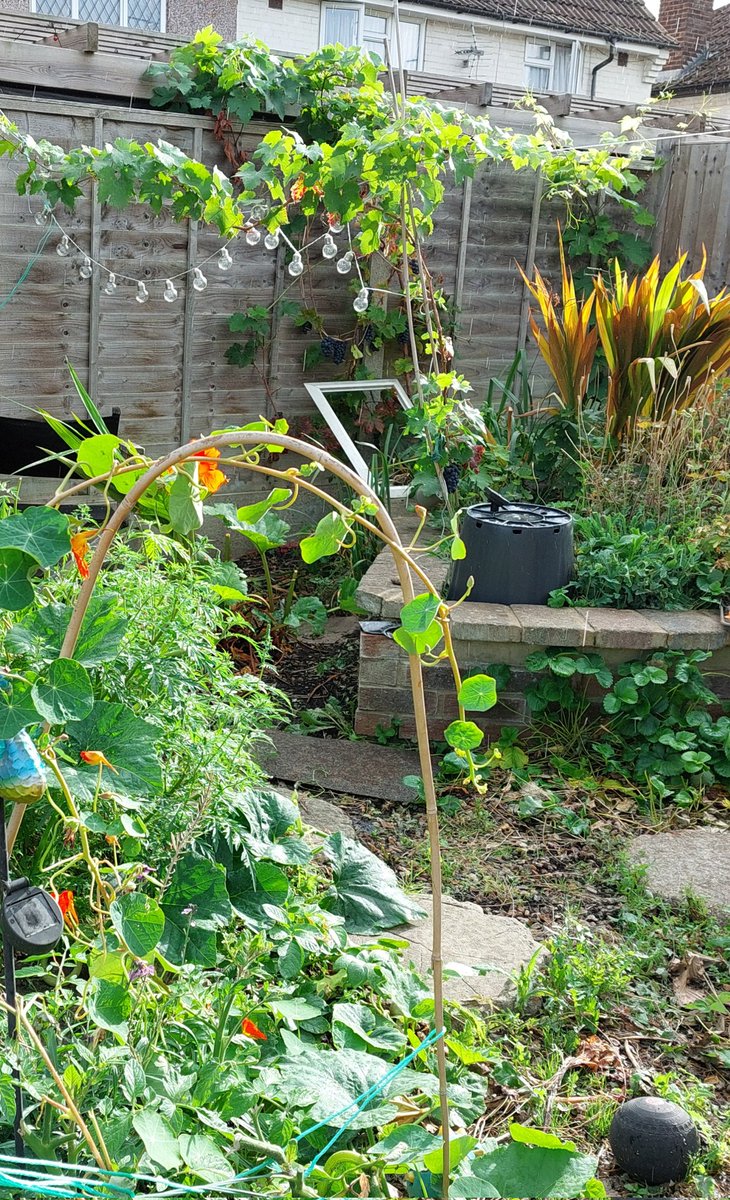 JacquelineCabl9's tweet image. I know 

@thameswater has legal powers to force me to get a smart meter too.

If only we could get a smart prime minister who would fine the bastards and re nationalise the most essential of our natural resources.

#TaxtheRich 
#prosecute the corrupt.

Please send more buckets