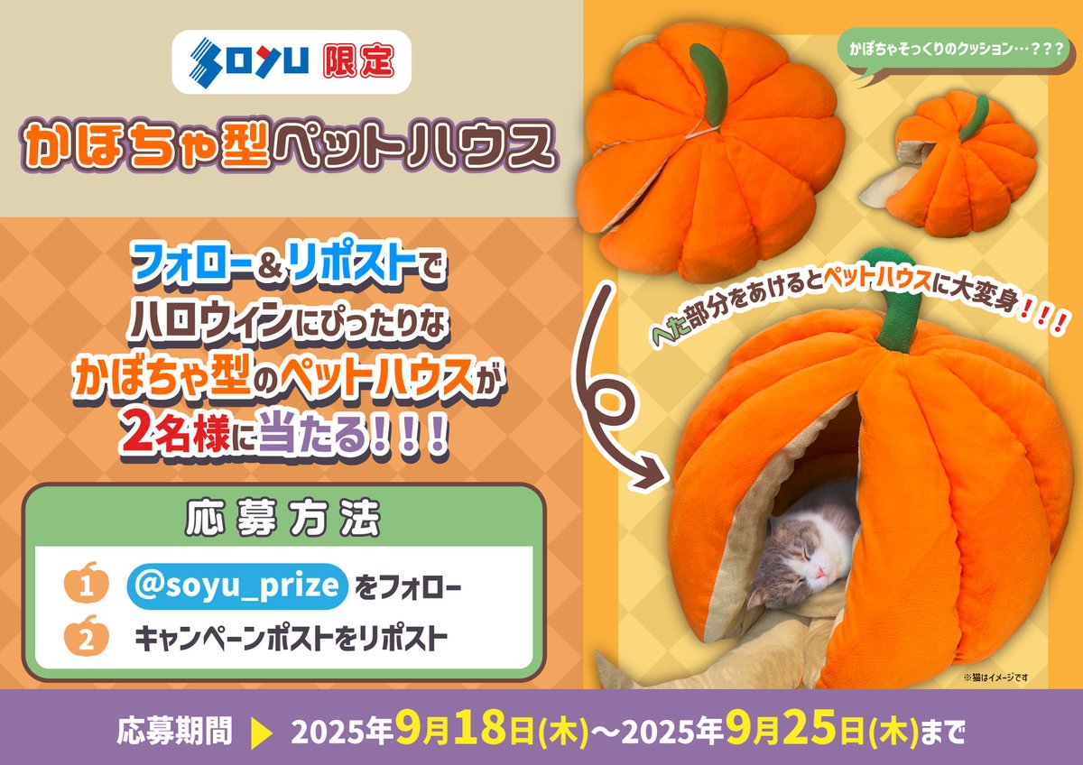 SOYU(ソユー) 商品部【公式】 on X