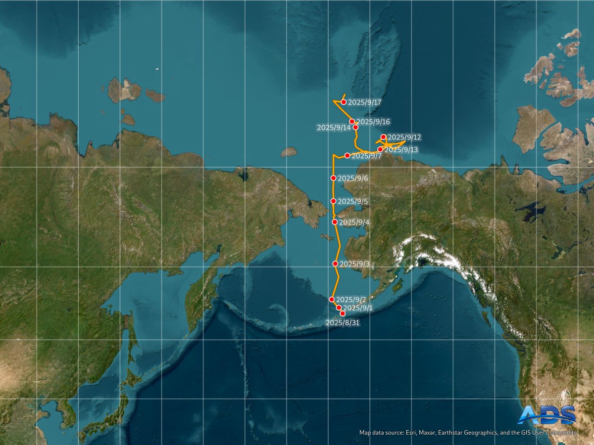 ADS_NIPR's tweet image. 2025年9月17日 15:00　今日のみらいと海氷状況
北極海を北上しています。
AMSR2では観測できない海氷が多く見られます。
ads.nipr.ac.jp/venus.mirai/#/…
#みらい北極航海2025, #MR2505C, #ArCS_III, #みらいtheFINAL