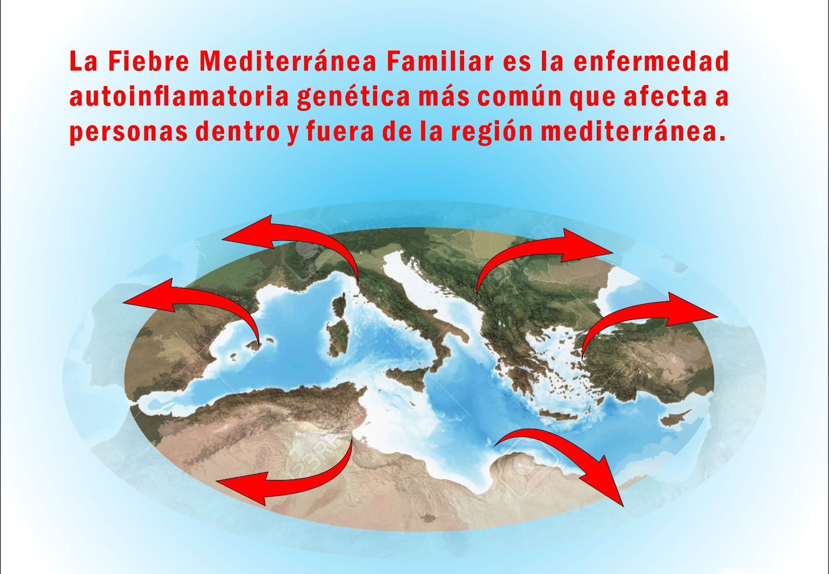 NoInvisibles's tweet photo. Es el Día Internacional de la #FMF, #FMFDay
La #FiebreMediterráneaFamiliar es la enfermedad autoinflamatoria genética más común que afecta a personas dentro y fuera de la región mediterránea.
Las #EnfermedadesAutoinflamatorias son crónicas, raras y sistémicas, suelen ser de origen genético, causar fiebre y discapacidad orgánica.
Conoce mas👇@STOP_FMF, gr. @micofvlc @FMFandAID
https://t.co/VxdxoulH4G