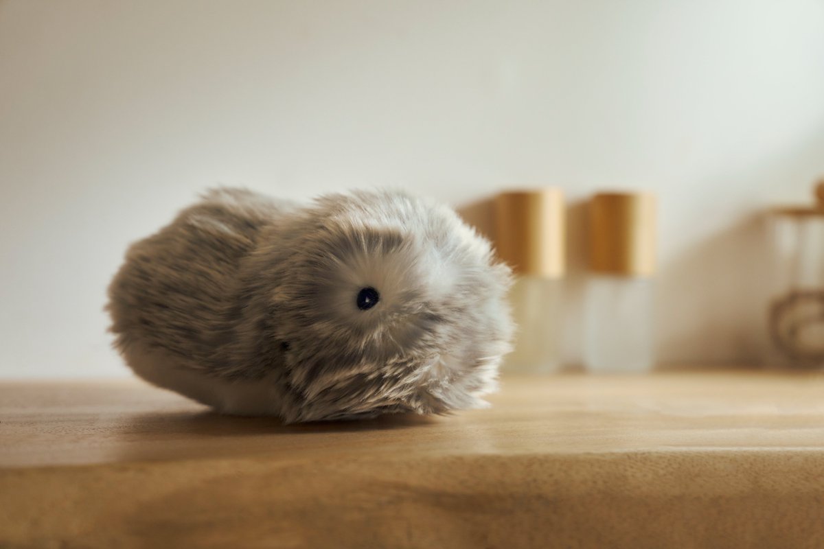 Moflin 海外展開がスタートします🌎 ＼ 世界中の方からMoflinの発売を