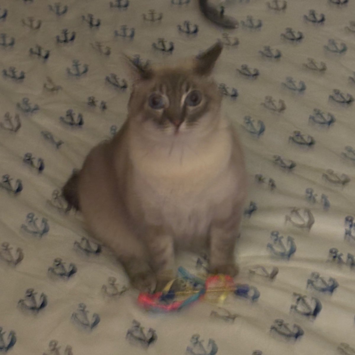 caught redhanded with my toy…