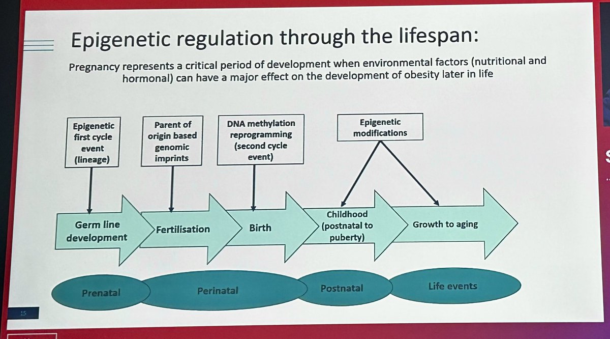 Dr. Sara Suliman: #Obesity is a genetic disease, affected by genetics and epigenetics. The same piano sounds different deppending of the performer. #EASD2025