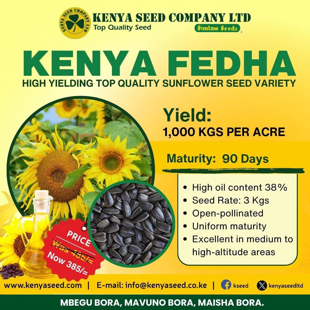 Shop today with the new offer of 𝗞𝘀𝗵 𝟯𝟴𝟱 per Kg! Available across all our outlets countrywide.