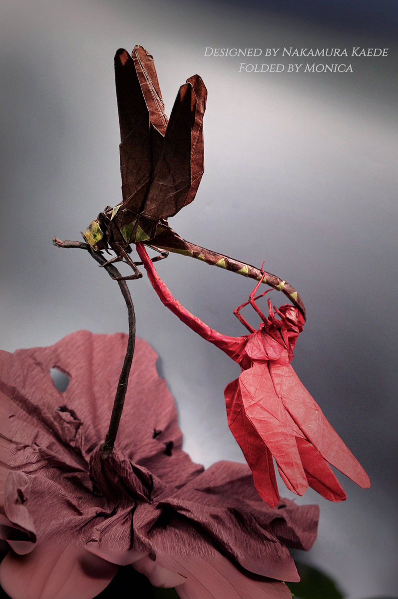 Monica Gao tweet media