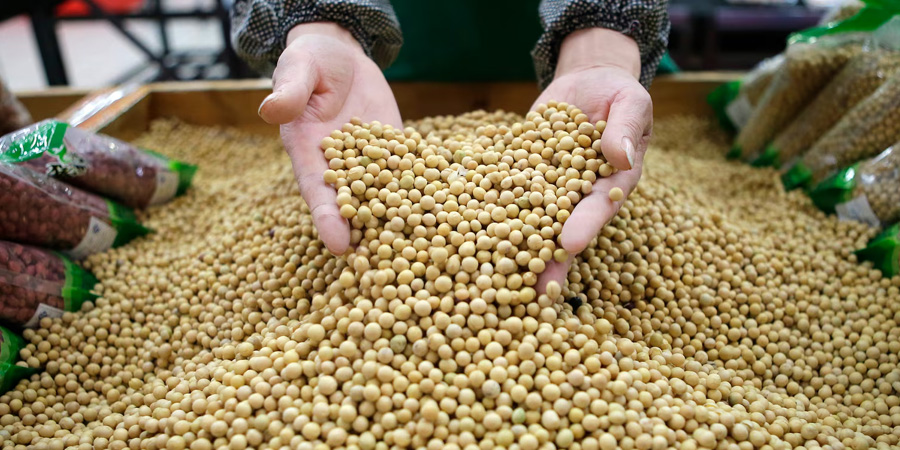 eFeedLink tweet media