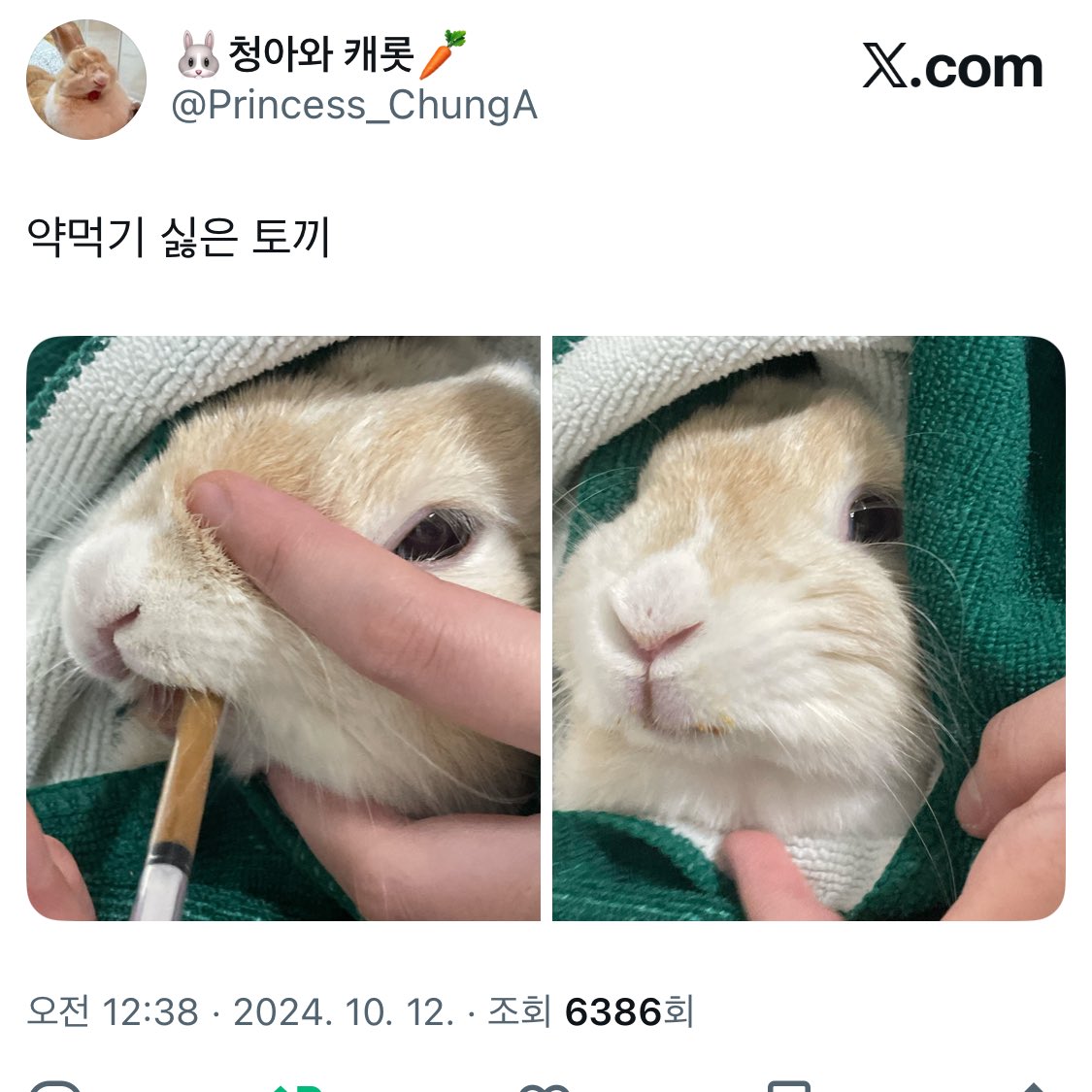 강급의 필수인 토끼 부리또,,,
나도 첨엔 청아가 계속 꿍실꿍실 뒷걸음질로 수건을 벗어나서 앙앙 울면서 했었음. 

내가 포박하면, 동생이 내손이랑 같이 말아서
그 후에 손을. 살~ 빼는 방법이었는데,
몇번 하다보니까 서로가 피곤해서 걍 거침없이 휙휙말아버리는 부리또 고수가 되엇슨

똥강아지🥹