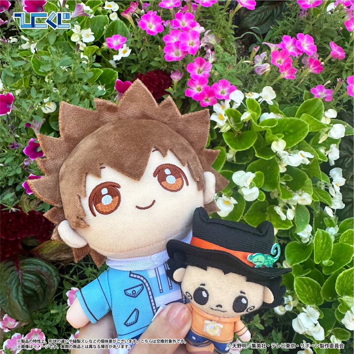 hikokuji tweet picture