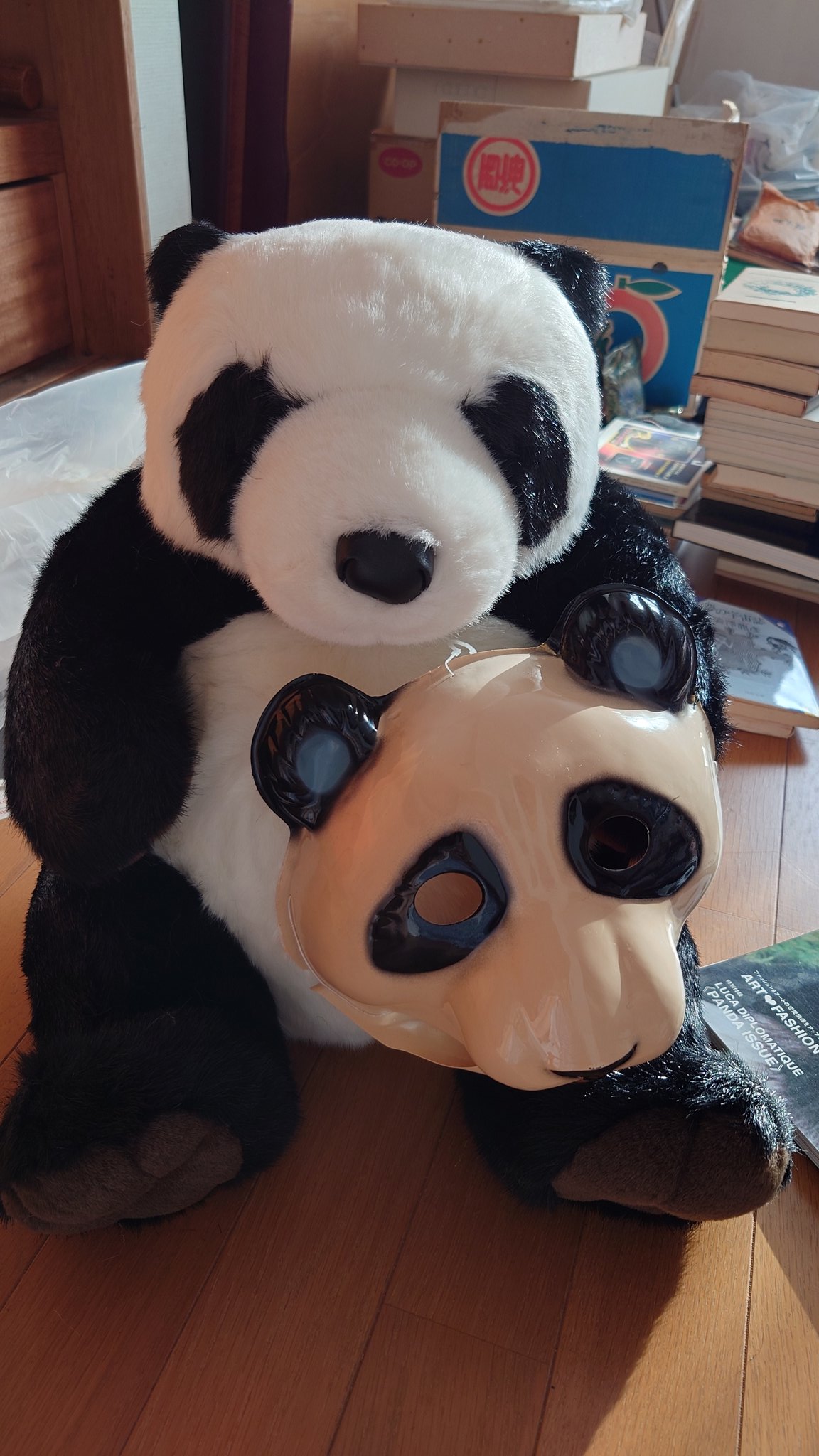 パンダ好き - Search / X