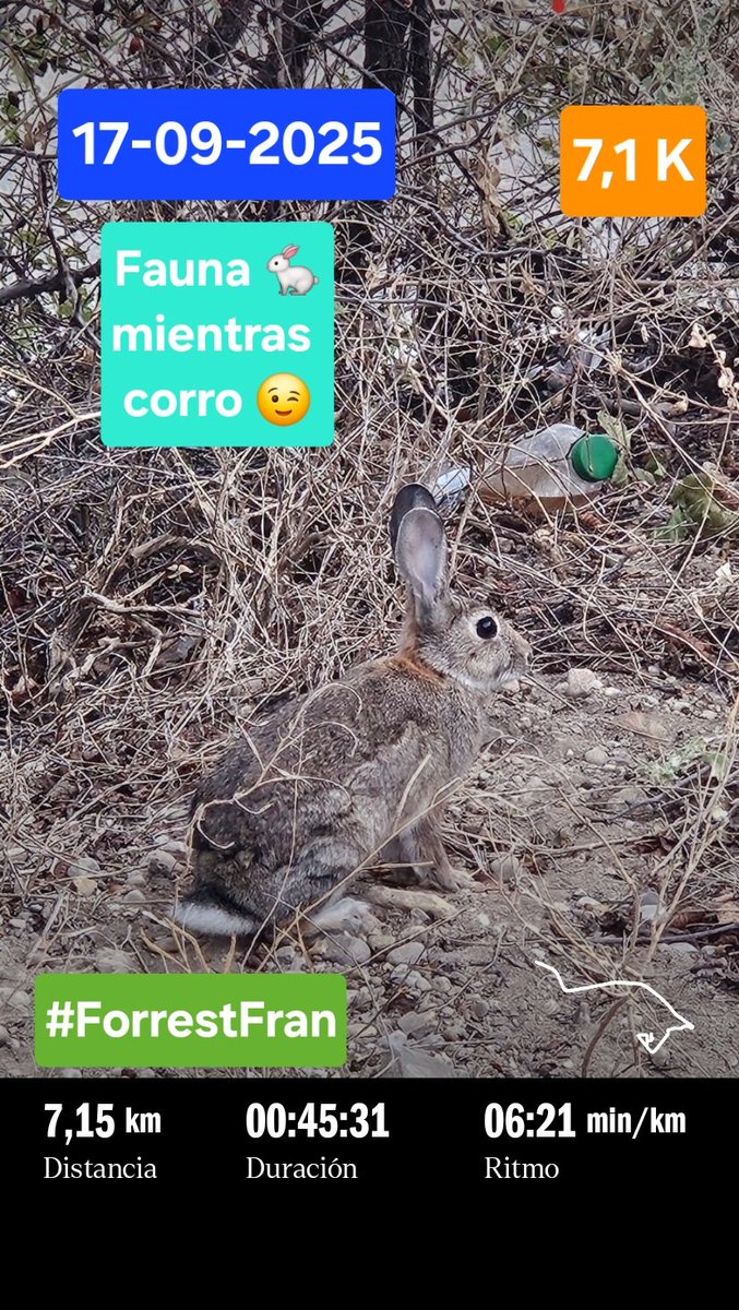 franciscoabian's tweet image. Fauna 🐇
mientras 
corro 😉

#ForrestFran  @ForrestFran_
#MetodoForrestFran
#correrparaadelgazar  💪💪🏃‍♂️🏃‍♂️🏃‍♀️🏃‍♀️🏃‍♀️
#correrparamantenerseenforma