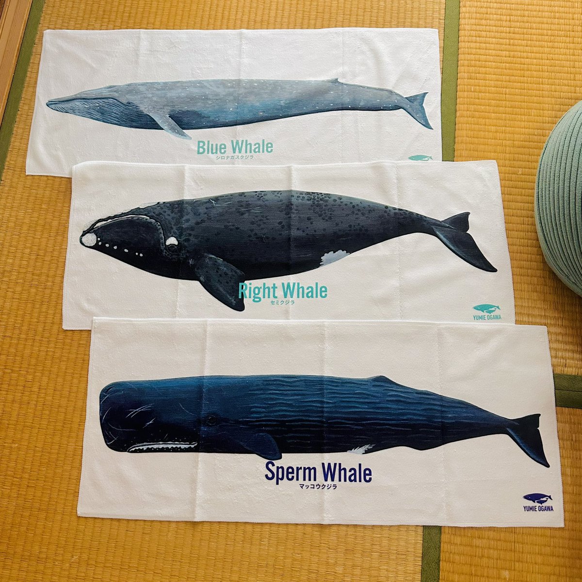 イベントに間に合わなかったけど作ってみたフェイスタオル🐳
可愛いかも🩷
長細いとクジラに合いそうと思ってしまう今日この頃。
そのうちどこかで売ってみよー🎵

#yumieogawa #illustration #オガワユミエ #whale