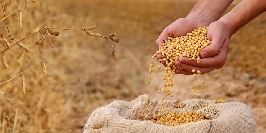 eFeedLink tweet media