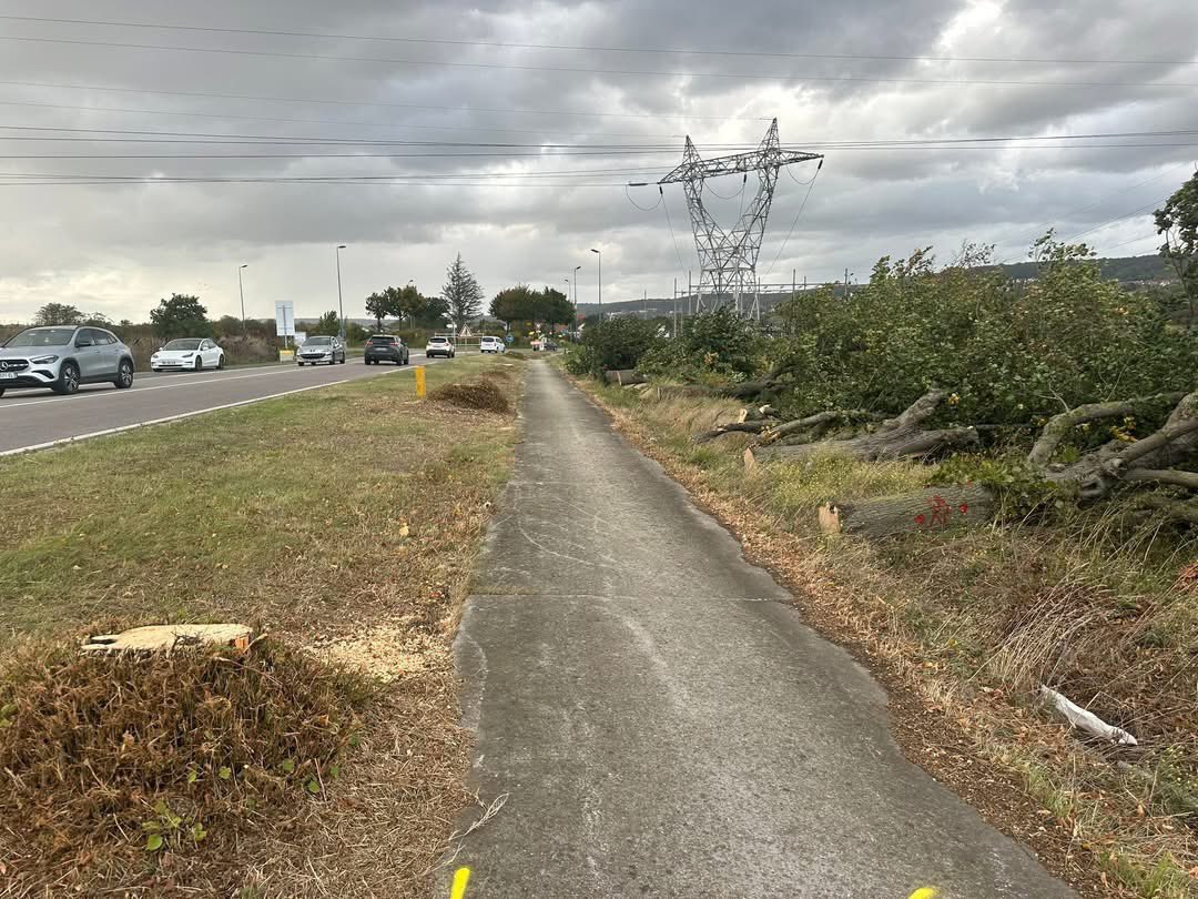 #biodiversité #financespubliques #StopAbattageArbres
🚩 Le projet de 2x2 voies du département dans l’impasse : Un engagement financier et foncier irresponsable
Suite à l’abattage des arbres sur la commune de Triel, le maire , Cédric Aoun , a décidé de ne pas rétrocéder au