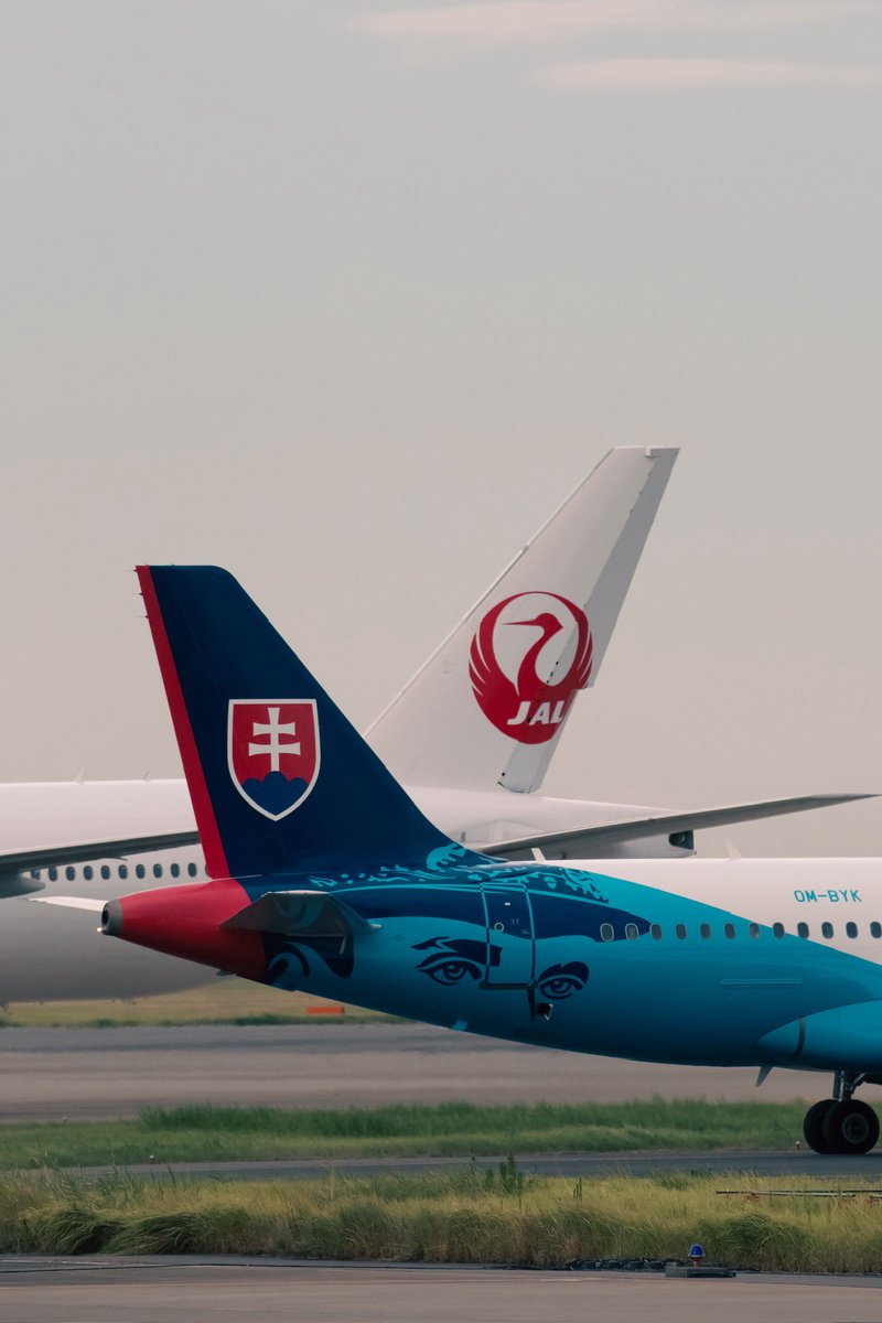 スロバキア×日本航空