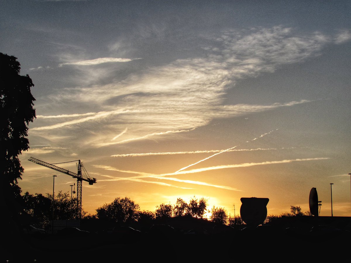 Ángeles Rivera tweet media