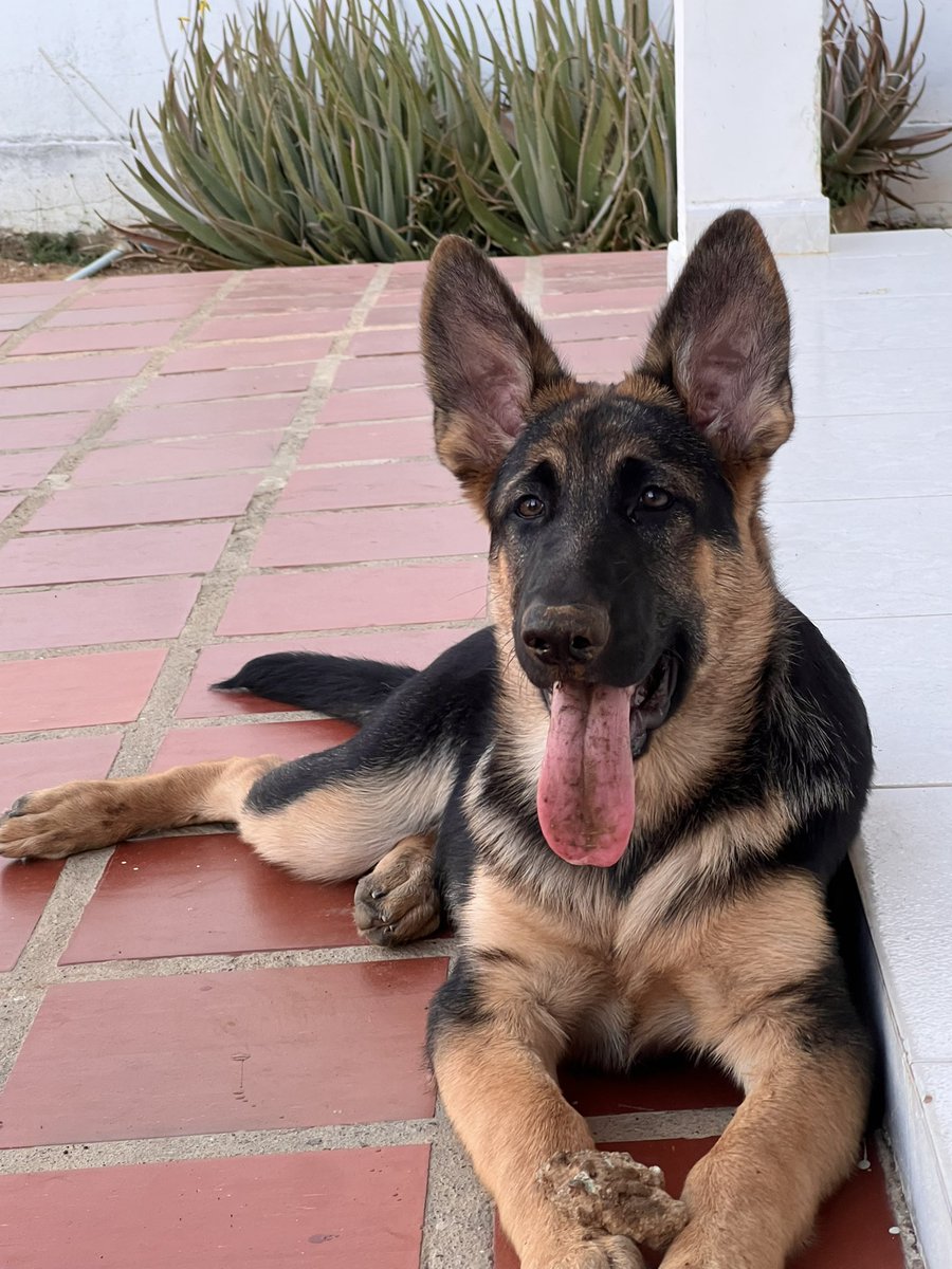 Es tan bello 😭❤️
