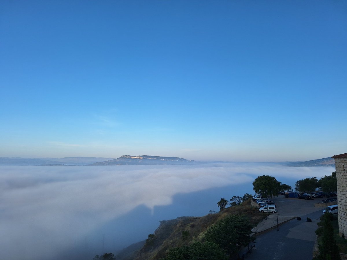 Juan Amela tweet media