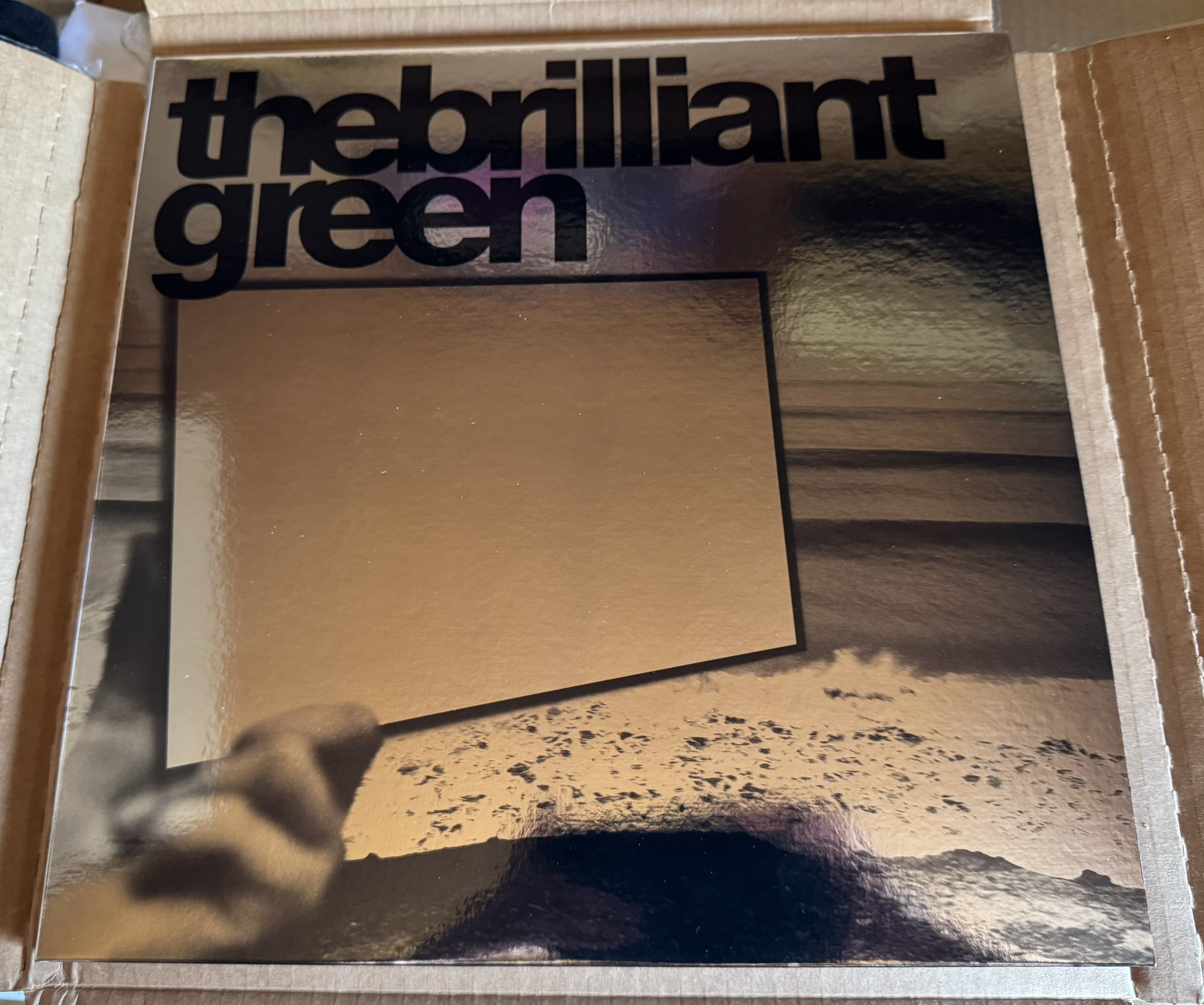 Brilliant Green LPレコード 1枚 BRILLIANT GREEN / THE BRILLIANT GREEN / 2LP | Record CD