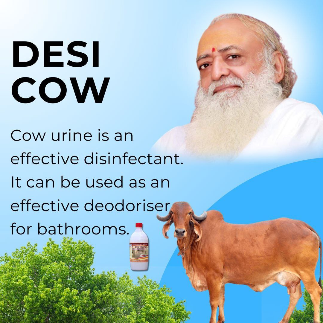Satya Dewangan (@desatyanara) on Twitter photo <a href="/Asharamjiashram/">Sant Shri AsharamJi Ashram</a> Sant Shri Asharamji Bapu बताते हैं और शास्त्रों में भी आता है कि गाय के संपूर्ण शरीर में सभी देवी देवताओं का वास होता है इसीलिए गाय की सेवा करने से उसकी परिक्रमा करने से संपूर्ण तीर्थ का फल प्राप्त हो जाता है।
Desi Gau Ke Labh
Gau Raksha Abhiyan
#GauSewa <a href="/Asharamjiashram/">Sant Shri AsharamJi Ashram</a> Sant Shri Asharamji Bapu बताते हैं और शास्त्रों में भी आता है कि गाय के संपूर्ण शरीर में सभी देवी देवताओं का वास होता है इसीलिए गाय की सेवा करने से उसकी परिक्रमा करने से संपूर्ण तीर्थ का फल प्राप्त हो जाता है।
Desi Gau Ke Labh
Gau Raksha Abhiyan
#GauSewa
