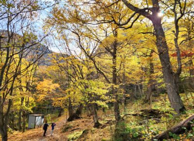 ActiviTaisetsu's tweet photo. 【日本遺産プログラム「旬の紅葉と沢歩き」🍂】
https://t.co/WvLKF47rel
#大雪エリア #hokkaido #北海道 #沢歩き #streamtrekking #autumnleafviewing
#アクティビティ #activity #上川町 #大雪山層雲峡 #黒岳ロープーウェイ #黒岳 #層雲峡 #紅葉 #大雪山 #ロープーウェイ #体験 https://t.co/qopFZu1chw
