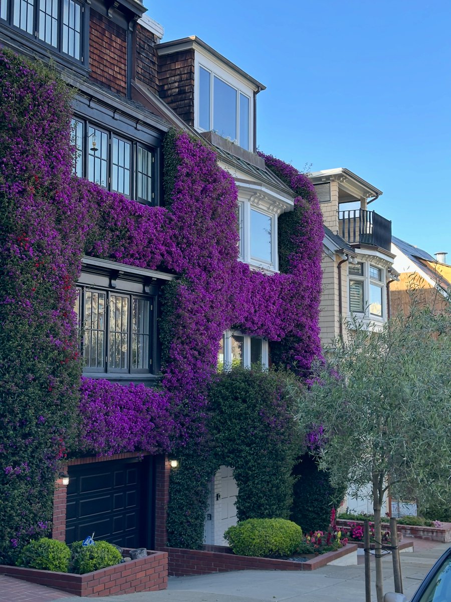 moved to San Francisco last week.

first impressions:
- lots of smart people
- ebikes have transformed the city (more than waymos)
- everyone here wants to text instead of email...?