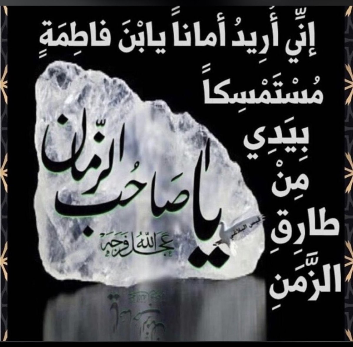 qallaf_fatma's tweet photo. https://t.co/XUqUs1fSdD