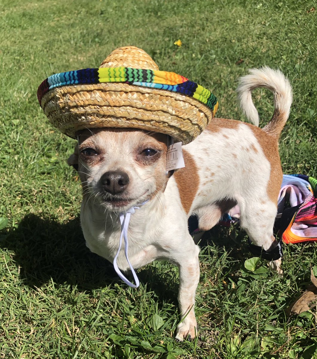 i love my mexican people🫶🏽 HAPPY MEXICAN INDEPENDENCE DAY!!!