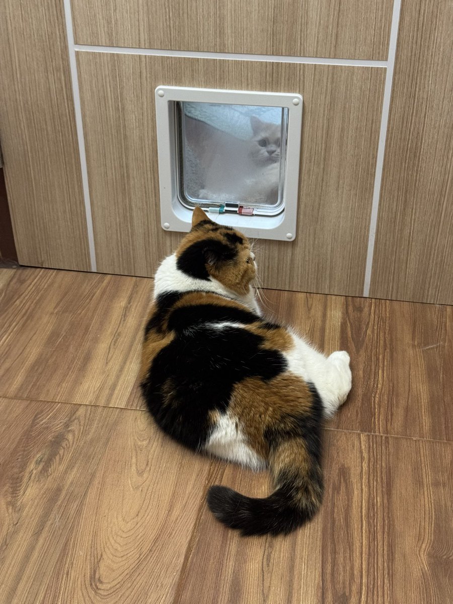 yayee2548's tweet image. เรื่องราวเมื่อคืน ไม่รู้เถียงไรกัน