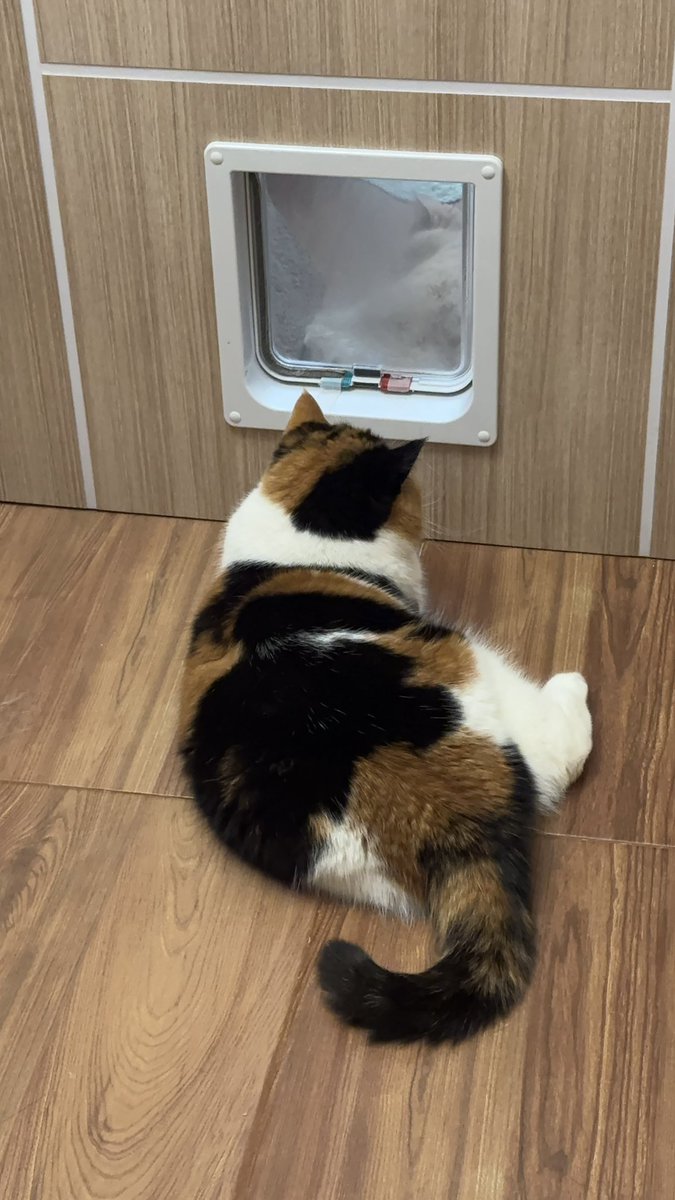 yayee2548's tweet image. เรื่องราวเมื่อคืน ไม่รู้เถียงไรกัน