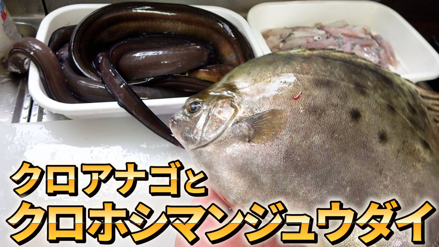 へんおじ Big Brother's recommendation] In October, we have this