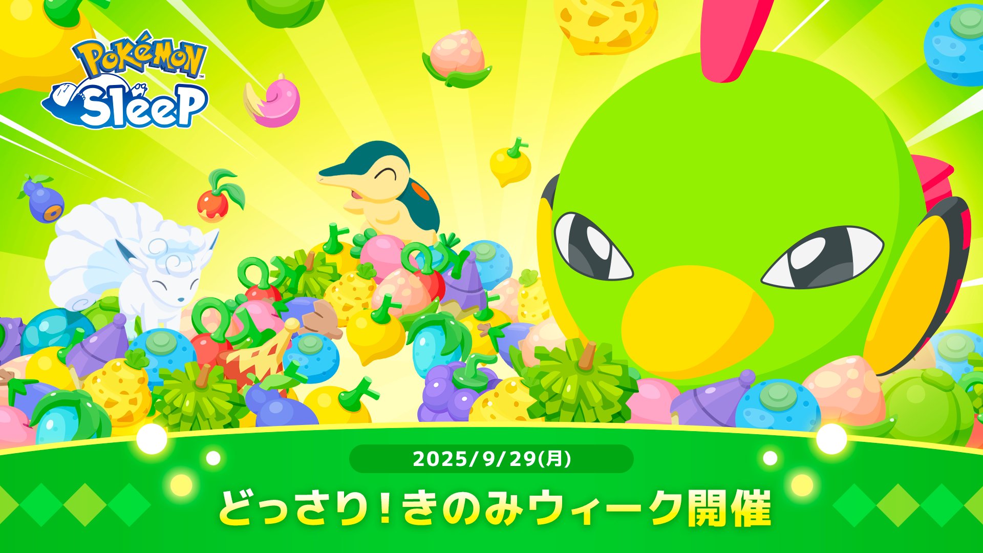 ポケモンスリープぬくぬくケット ポケモンスリープぬくぬくケット Pokemon Sleep」に登場する