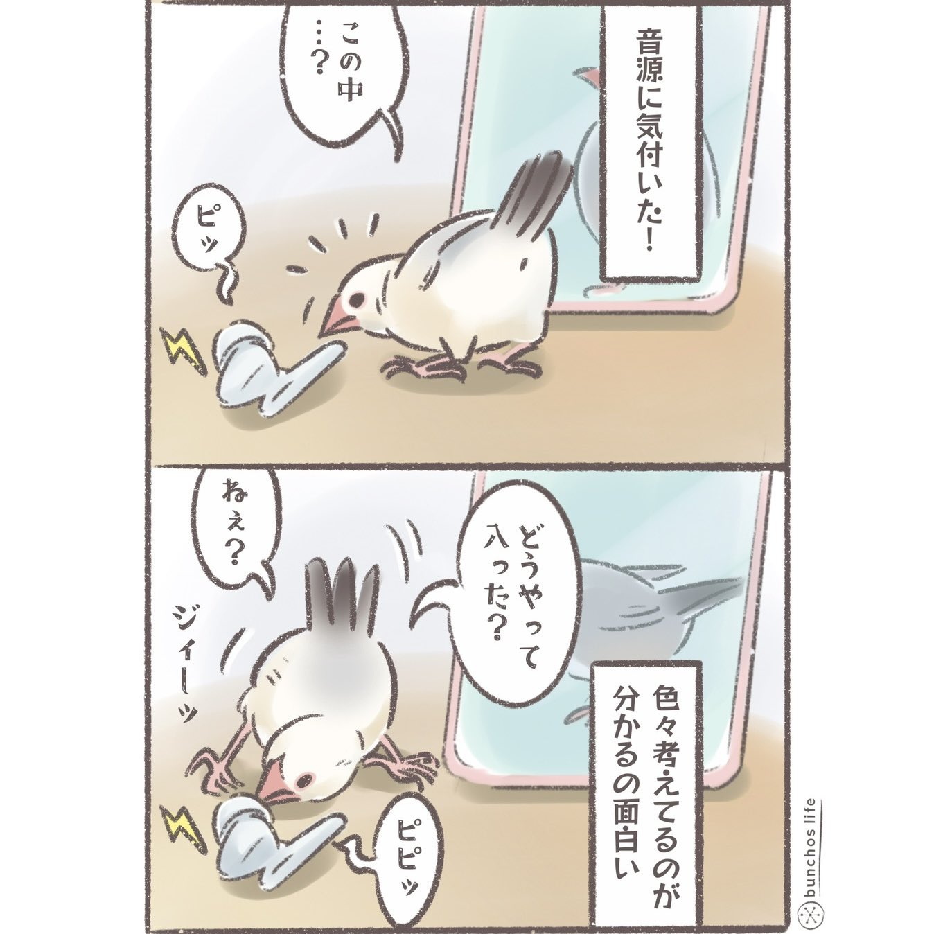 こむぎページ こむぎ🕊️ (@komugi_chan55) / X