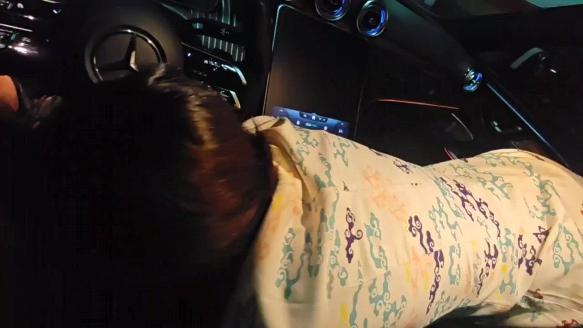 人生总会有那么几天，为一个人、一段情、一段旅途或一个梦想停留。

今年的目标，再收一个这样的小母狗，只要苏州的，这样彼此都方便。