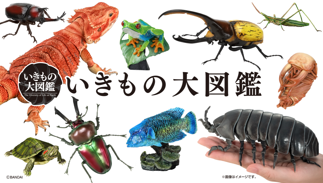 いきもの大図鑑 かぶとむし09 ガシャポンオンライン版 樹皮台座