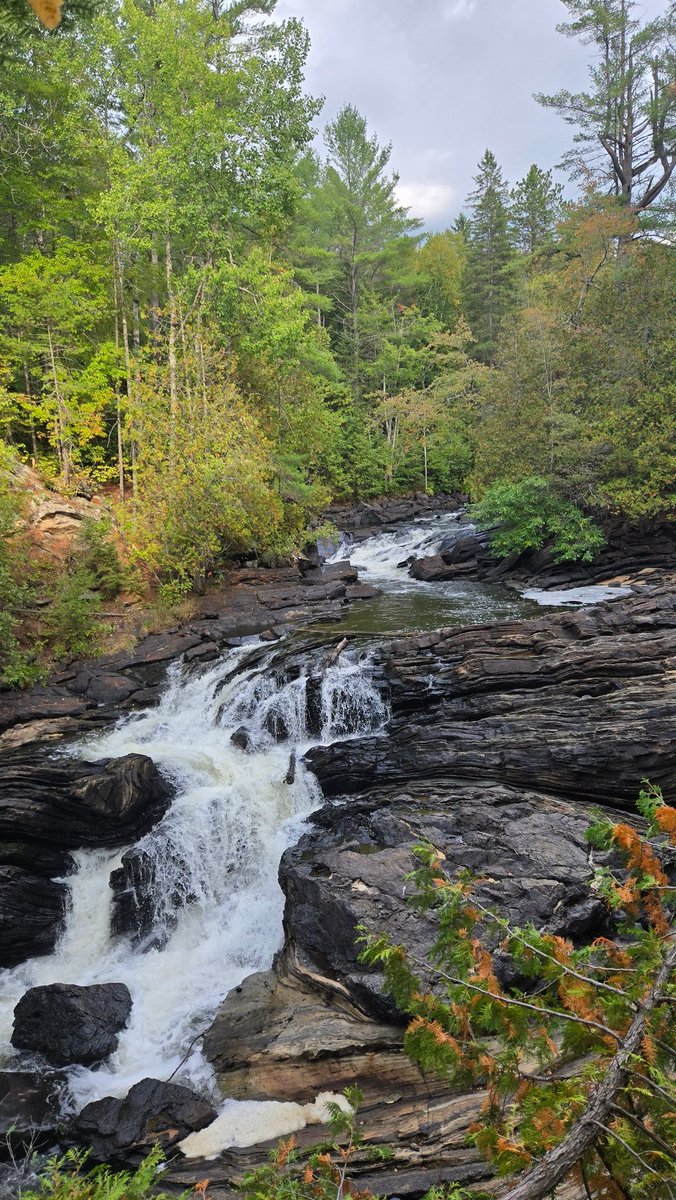 Survived the weekend cottage trip ;] Byebyee summer ♡♡♡