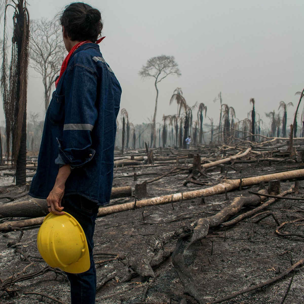 AtlaiWorld's tweet image. Venezuela&apos;s forests are under siege, with shifting agriculture and wildfires driving significant tree cover loss. #VenezuelaForests #EnvironmentalConcern #ATLAI #ChartAGreenPath #togetherforhumanity
atlaiworld.com/alerts/15-09-2…