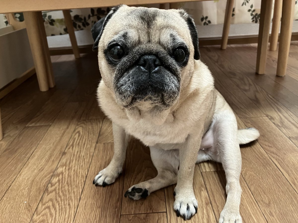 み〜やん☆彡 (@0618Miiyan) / Posts / X