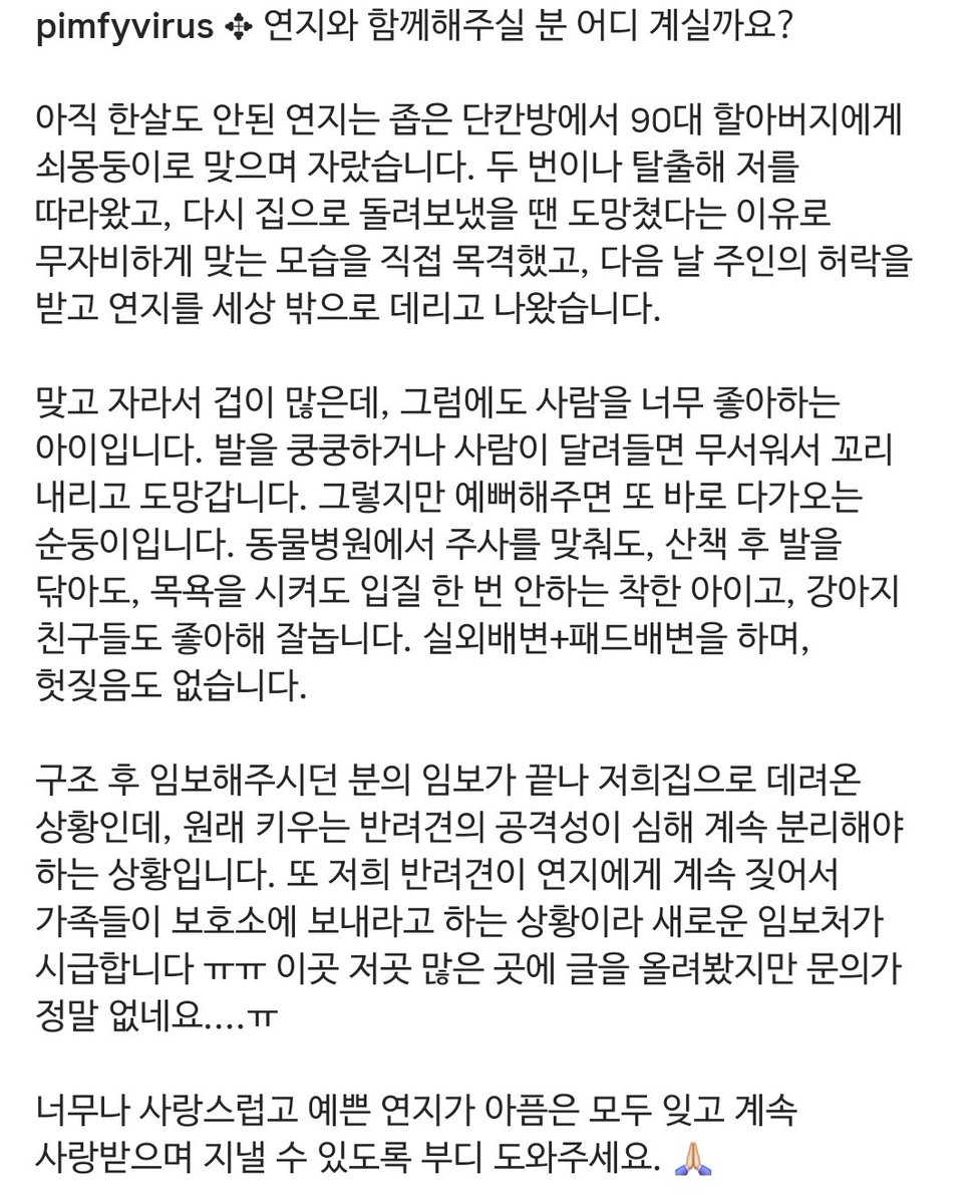 인스타펌
좁은 단칸방에서 쇠몽둥이로 맞으며 자란 연지가 구조되었고 임보처 찾는대요 !! 
맞고 자라서 겁이 많은데, 그럼에도 사람을 너무 좋아하는 아이입니다. 입질 한 번 안하는 착한 아이고, 실외배변+패드배변을 하며, 헛짖음도 없다고합니다!!
instagram.com/p/DOqabvEkcRl/…