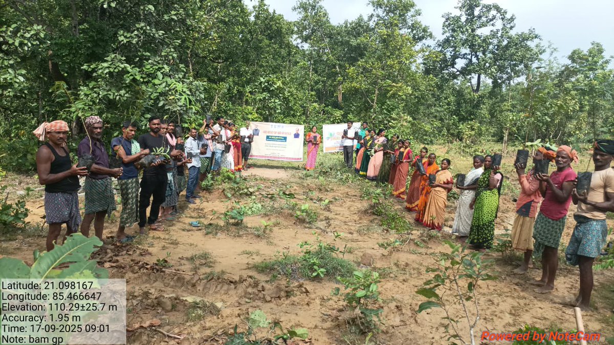 Ek ped Maa ke Naam 2.0, Biribolei, Mahabirod, BAM GP, Kankadahad Block #SHS2025 <a href="/PRDeptOdisha/">Panchayati Raj and Drinking Water Department</a> <a href="/ZPDhenkanal/">zp_dhenkanal</a>