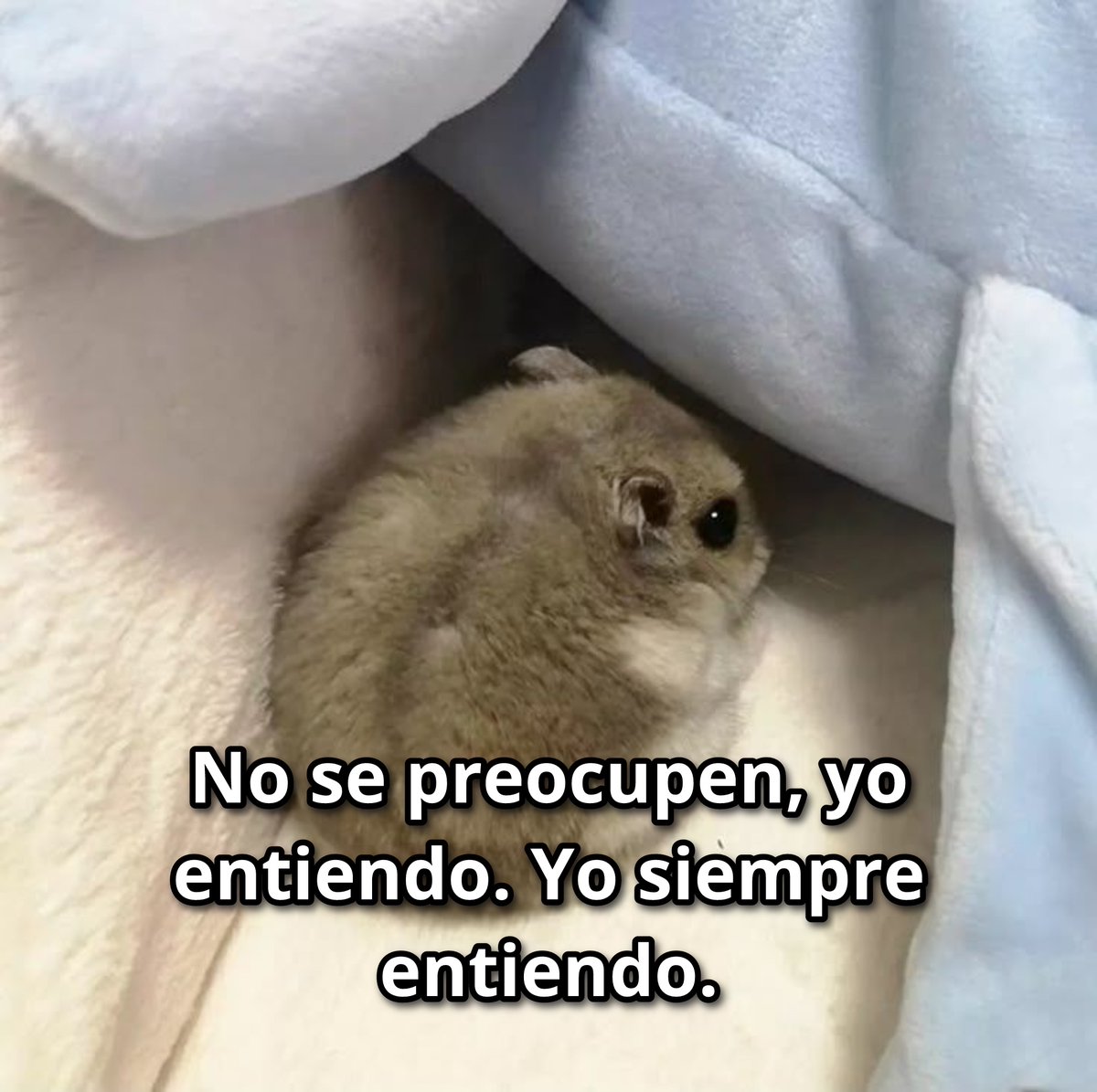 El Guarromántico tweet media