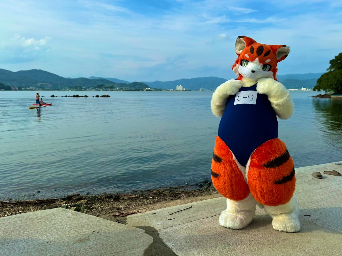 SUP（左奥）楽しそうだな〜
とーりも乗りたい〜🐱
#FursuitEveryday 
#はまもふ