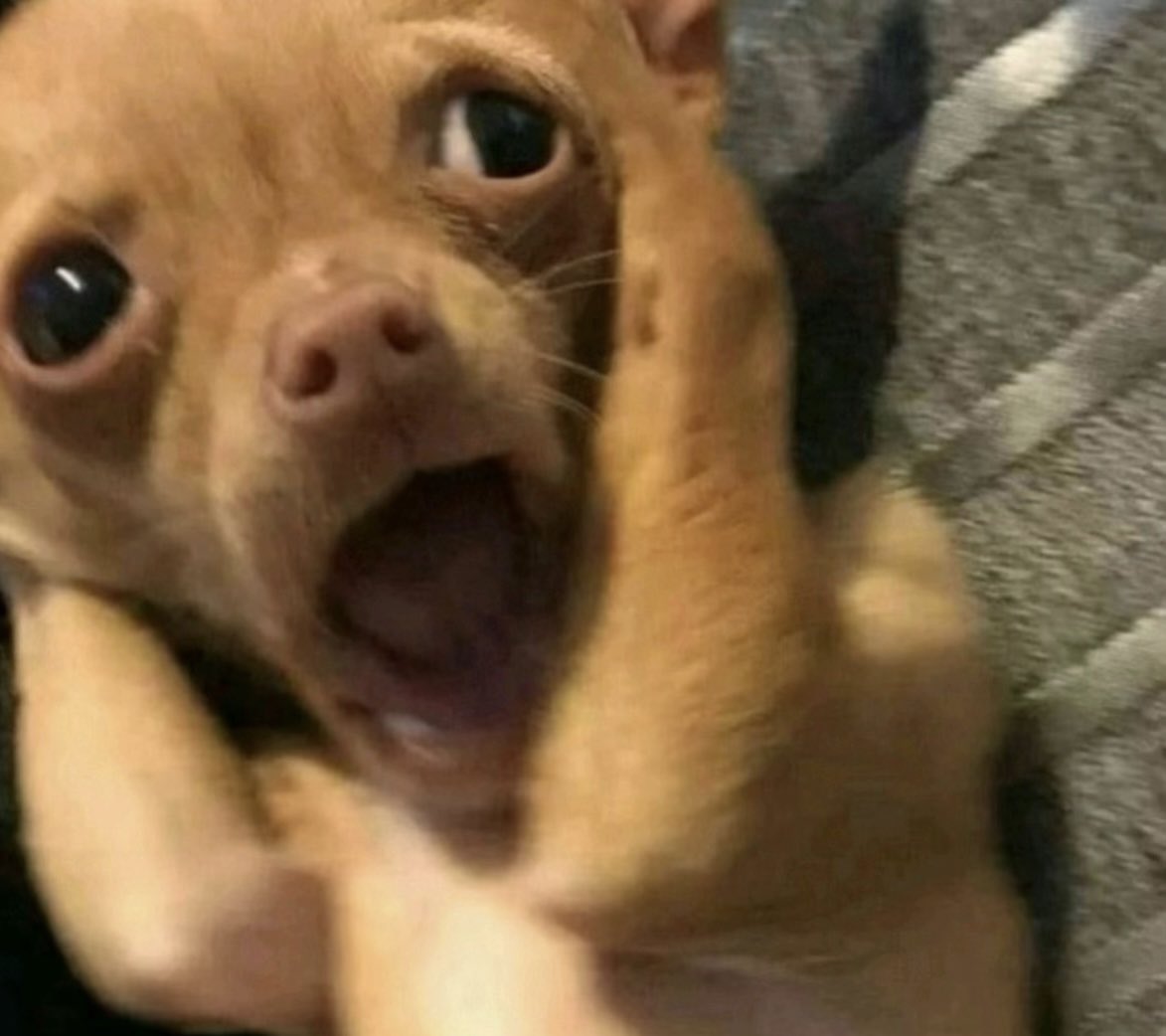 There’s absolutely no way Ohtani has a low pc going into the 5th with a no hitter .. gets pulled and 5 earned runs right after I can’t believe this