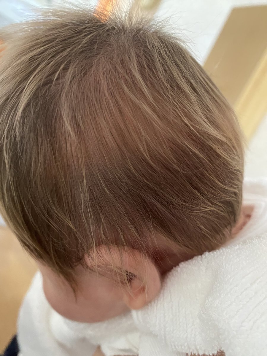 ちくわぶ☺︎（8m🦖） tweet media