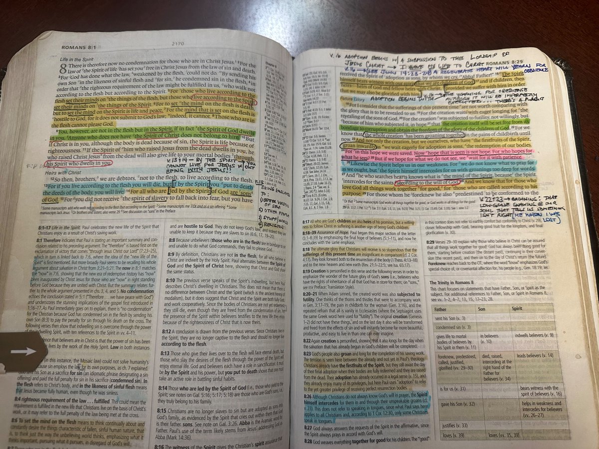 Anybody still read a physical Bible?